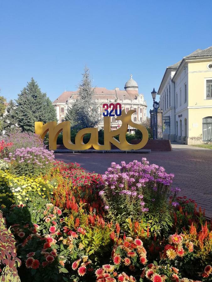 Csipke Apartman Makó Exterior foto
